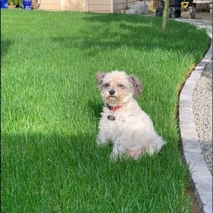 Meet your Posher, Donna